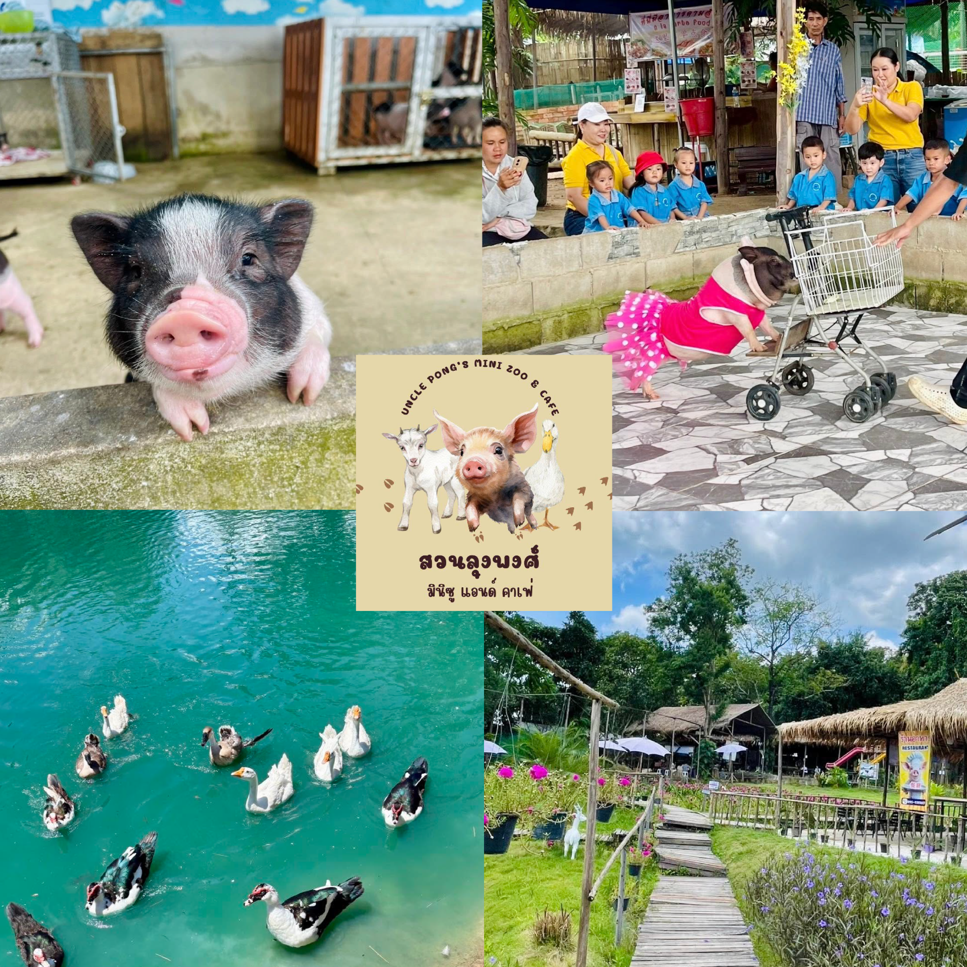 Uncle Pong's Mini Zoo and Cafe